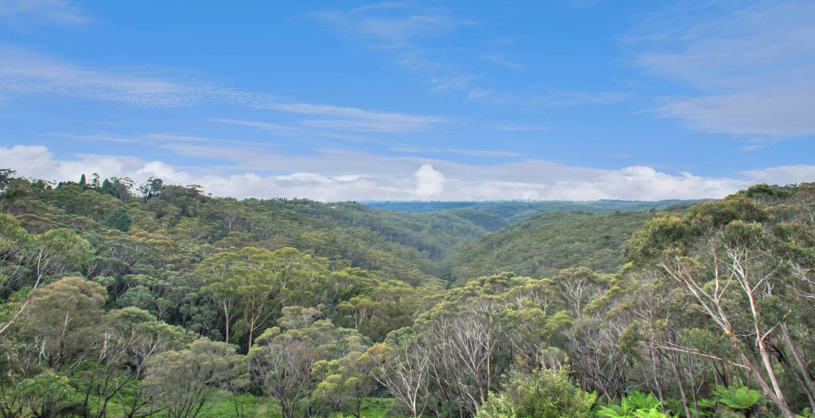 33 Henderson Road, Wentworth Falls, NSW 2782