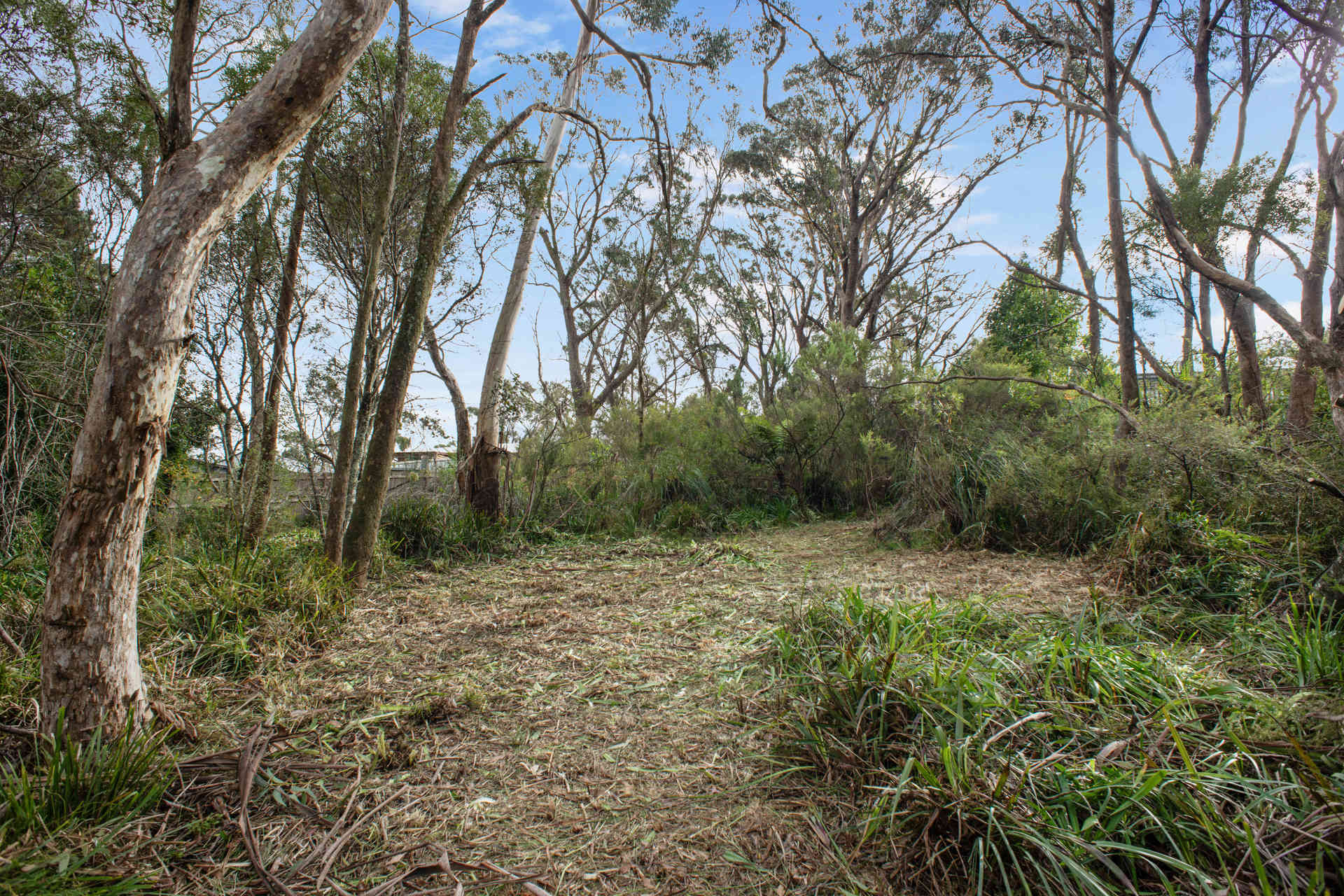 Private: 45 Kanimbla Street, Katoomba, NSW 2780