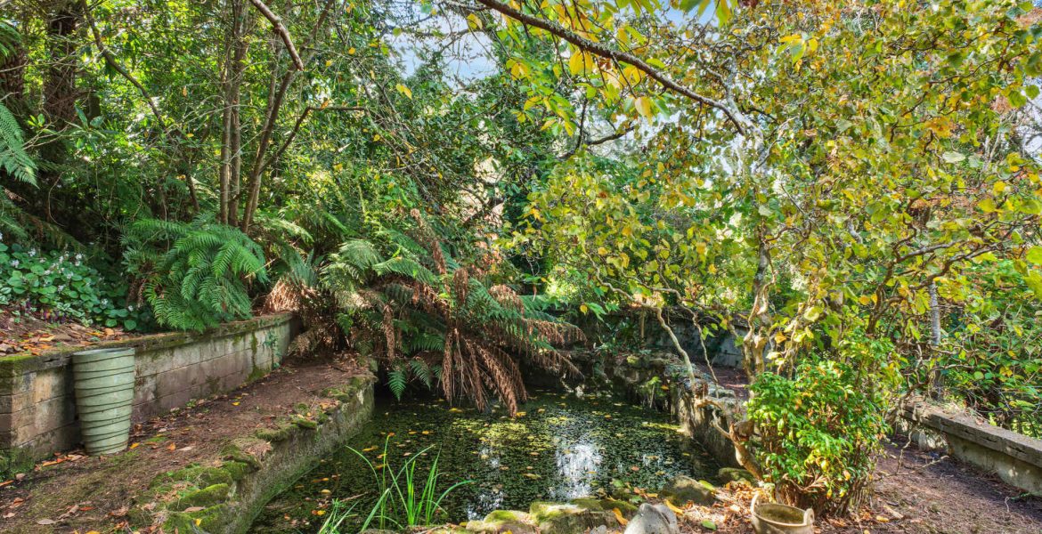 50 Railway Parade, Hazelbrook, NSW 2779