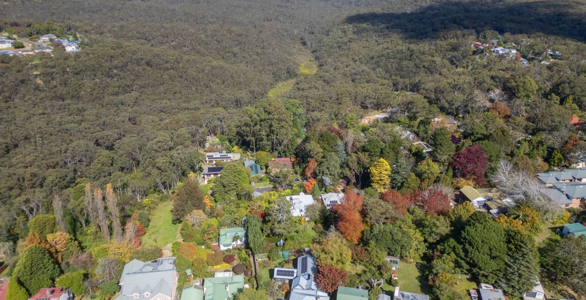 50 Railway Parade, Hazelbrook, NSW 2779
